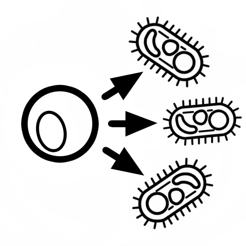 Lymphocytes fighting pathogens icon representing immune response