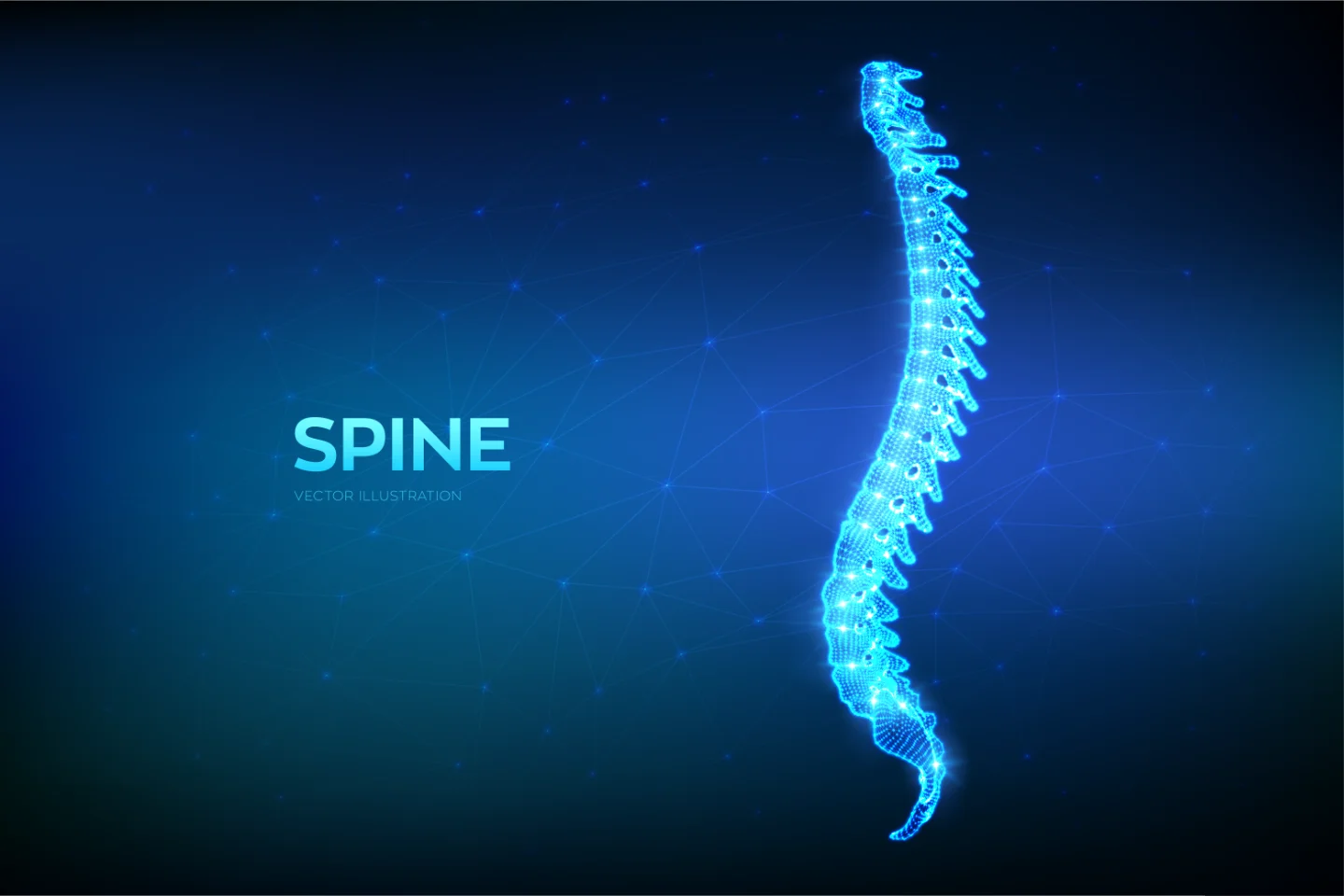Digital spine illustration for spinal decompression safety guidance at DakshinRehab