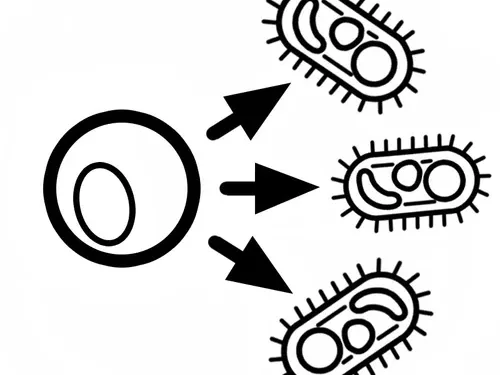 Lymphocytes fighting pathogens icon representing immune response